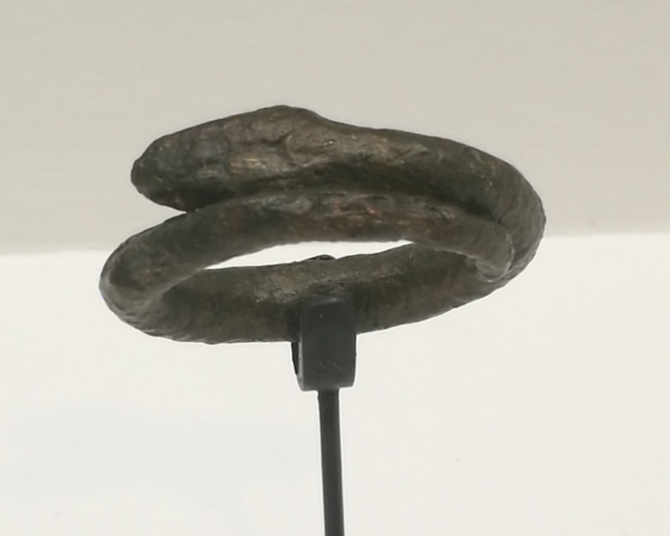 Bague serpentiforme du Musée Départemental d'Arles Antique